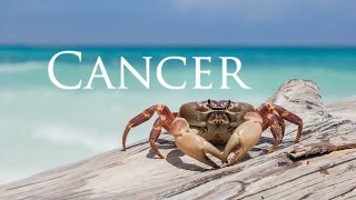 All about Cancer with Michele Knight [upl. by Laveen971]