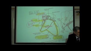 ANATOMY CIRCULATORY SYSTEM PART 4 CARDIAC DISORDERS by Professor Fink [upl. by Dlabihcra]