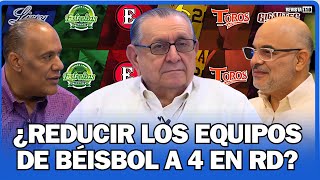 ¿Valdría la pena reducir a 4 los equipos de beisbol dominicano [upl. by Gaskins749]