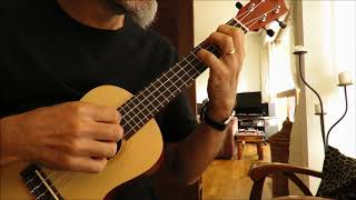 Planxty Irwin  Ukulele Campanella [upl. by Aibos]