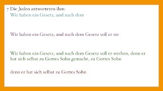 J S Bach quotSei gegrüsset Kreuzige Wir haben ein Gesetzquot BWV 24521  JohannesPassion [upl. by Eidda]