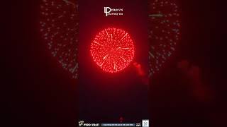 Top 6 most beautiful FIREWORKS shells 2024 shorts fireworks experiment pyro [upl. by Natlus649]