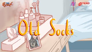 thepicnik  Old Socks  Official Visualizer [upl. by Ramoj]