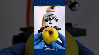 Apple ന്റെ മുകളിൽ microscope ൽ നോക്കിയപ്പോൾ🤯 [upl. by Celestia999]