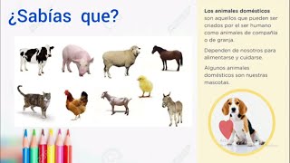 Animales domésticos y silvestres 1er grado [upl. by Pilihp989]