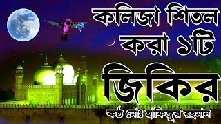 এই জিকির টি শুনুন মনে শান্তি পাবেন ইনশাআল্লাহ কন্ঠ মোঃ হাফিজুর রহমান জিকির লিরিক্স ২০২৪ [upl. by Bathsheba]