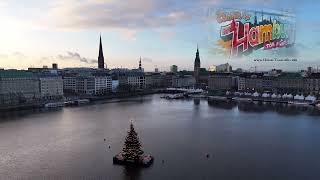 Flug über die Binnenalster Hamburg mit Weihnachtsbaum [upl. by Legim]