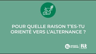 POUR QUELLE RAISON TESTU ORIENTÉ VERS LALTERNANCE  BUT GÉNIE BIOLOGIQUE PARCOURS AGRONOMIE [upl. by Bunni285]