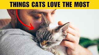 6 Things That Cats Love The Most  6 Things Cats LOVE [upl. by Dnivra811]