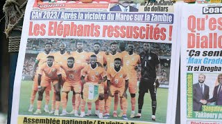 CAN les supporters de la Côte dIvoire ne veulent quotpas sarrêter làquot  AFP [upl. by Anai]