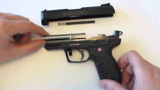 Ruger SR22PB Table Top Review [upl. by Cece182]