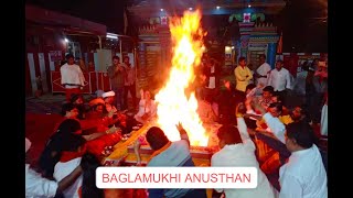 baglamukhi shortvideo viralvideo ujjainkalsarpdosh guruchandaldosh ujjaindarshan pandit [upl. by Eagle]