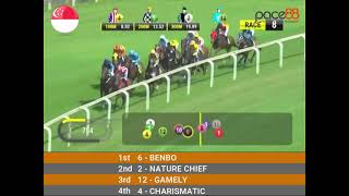 20240127  Race 8 Singapore Kranji Horse Racing Highlights  Pace88 Horse [upl. by Gussie]