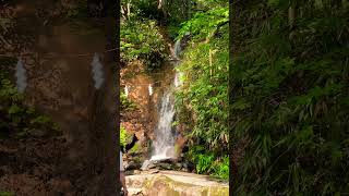 Togakushi Shrine near falls nagano japan indiansinjapan japantamilvlogs falls tokyotravel [upl. by Arri]