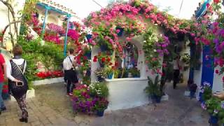 Patios Festival of Cordoba [upl. by Acissey755]