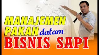 MANAJEMEN PAKAN DALAM BISNIS SAPI [upl. by Latif]