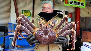 Japanese Street Food  GIANT ALASKAN KING CRAB Sashimi Hakodate Hokkaido Seafood Japan [upl. by Lipps]