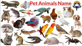 Pet Animals  Pet Animals Name With Sound  Pet Animals name list  Easy English Learning Process [upl. by Petite]