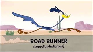 Wile E Coyote And Road Runner In quotMultiply And Conquerquot [upl. by Lehcer185]