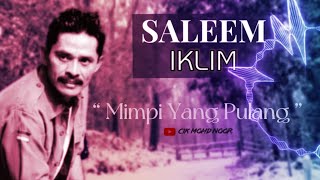 SALEEM IKLIM  Mimpi Yang Pulang [upl. by Nasya]