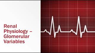 Renal Physiology Glomerular Variables [upl. by Fesoj208]