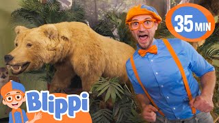 Blippi Learns About Animals  BEST OF BLIPPI TOYS  Educational Videos for Kids [upl. by Areemas]