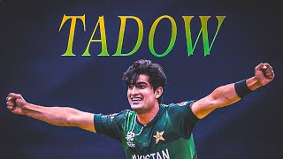 Naseem Shah x Tadow😍 ● Tadow Edit Audio ● Naseem Shah Edit💚 [upl. by Llekcor]