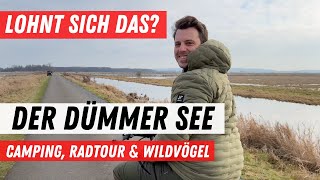 Ausflugsziel Dümmer See🏄🏼‍♀️Lohnt sich das❓Fahrradtour Camping amp Wassersport 📍Niedersachsen [upl. by Areip]