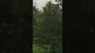 ASMR Summer Rain Storm asmr rain relaxationsounds [upl. by Zipporah]