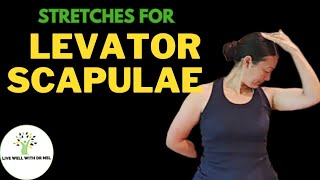 Levator Scapulae Stretches ✨ Live Well With Dr Mel [upl. by Farron]