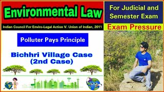 Indian Council For EnviroLegal Action V Union of Indian 2011  Environmental Law  Aasim Yezdani [upl. by Atlee723]