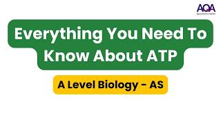 Everything You Need To Know About ATP  AQA ALevel Biology [upl. by Atews298]