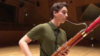 Paganini Caprice No 5  Theo Plath bassoon [upl. by Eellek]