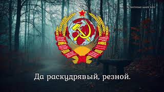 Soviet Folk Song  quotСмуглянкаquot [upl. by Adler]