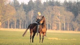 VIDEO Andorra and me to the stars [upl. by Lrub]