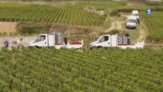 Bourgogne  les vendanges vues du ciel à Meursault [upl. by Revert]