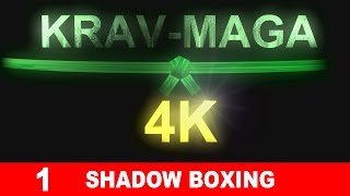 KRAVMAGA in 4K  Shadow boxing by Richard Douieb [upl. by Lebna18]