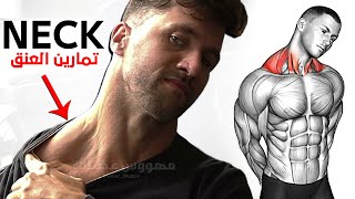 How To Build Your Neck workout Fast 6 Effective Exercises [upl. by Kary]