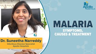 Apollo Hospitals  Malaria  Symptoms  Causes  Treatment  Dr Suneetha Narreddy [upl. by Arinaj]