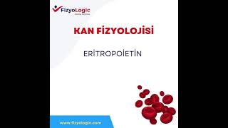 FİZYOLOGİC KAN FİZYOLOJİSİ  ERİTROPOİETİN [upl. by Harman697]