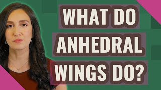 What do Anhedral Wings do [upl. by Fabrienne]