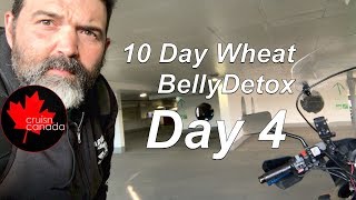 10 Day Wheat Belly Detox  Day 4 [upl. by Avehsile]