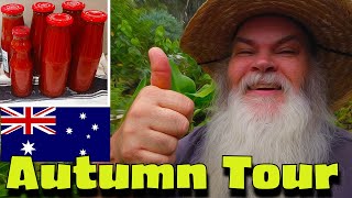 Aussie Autumn Preserving Tomatoes Food Growing update Aussie native flowers amp more [upl. by Terencio]