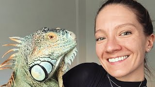 Helpless woman watches as adopted lizard grows to 5 feet in length [upl. by Aneeg]