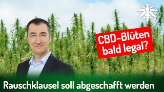 Rauschklausel soll abgeschafft werden  DHVNews  421 [upl. by Flosser673]