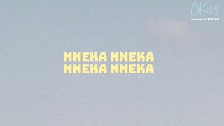 CKay  NNEKA featuring Tekno Official Lyric Video [upl. by Htedirem]