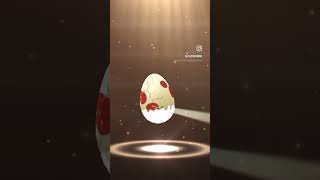 pokemon egg absol [upl. by Tommie366]