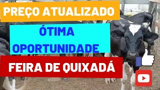 PREÇO DO GADO ATUALIZADO  FEIRA DE QUIXADÁ 2712  feira gado boi preçodinheiro criadordegado [upl. by Cannon]