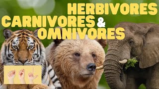 ASL Herbivores Carnivores and Omnivores for Kids [upl. by Atikam]