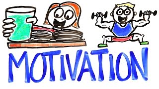 The Science Of Motivation [upl. by Nyladnek]